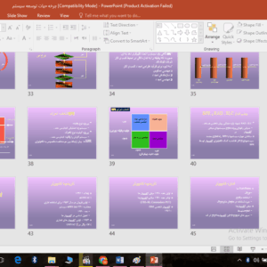دانلود پاورپوینت چرخه حیات توسعه سیستم