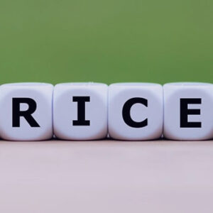 پاورپوینت مبانی قیمت‌گذاری تقسیمی