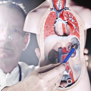 پاورپوینت هماتوم طحال splenic hematoma چیست