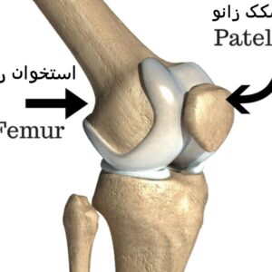 دانلود پاورپوینت آشنایی با کندرومالاسی پاتلا