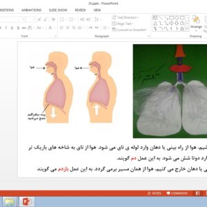 پاورپوینت درس دهم علوم تجربی چهارم بدن ما(2)