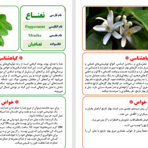 دانلود طرح جابربن حیان درباره گیاهان دارویی