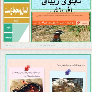 پاورپوینت درس ۲ انسان و محیط زیست پایه یازدهم
