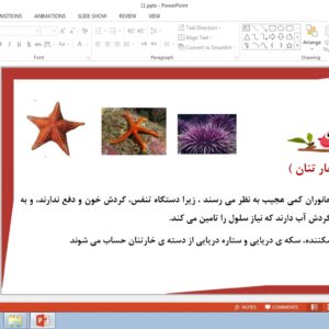 پاورپوینت درس یازدهم علوم تجربی چهارم بی مهره ها